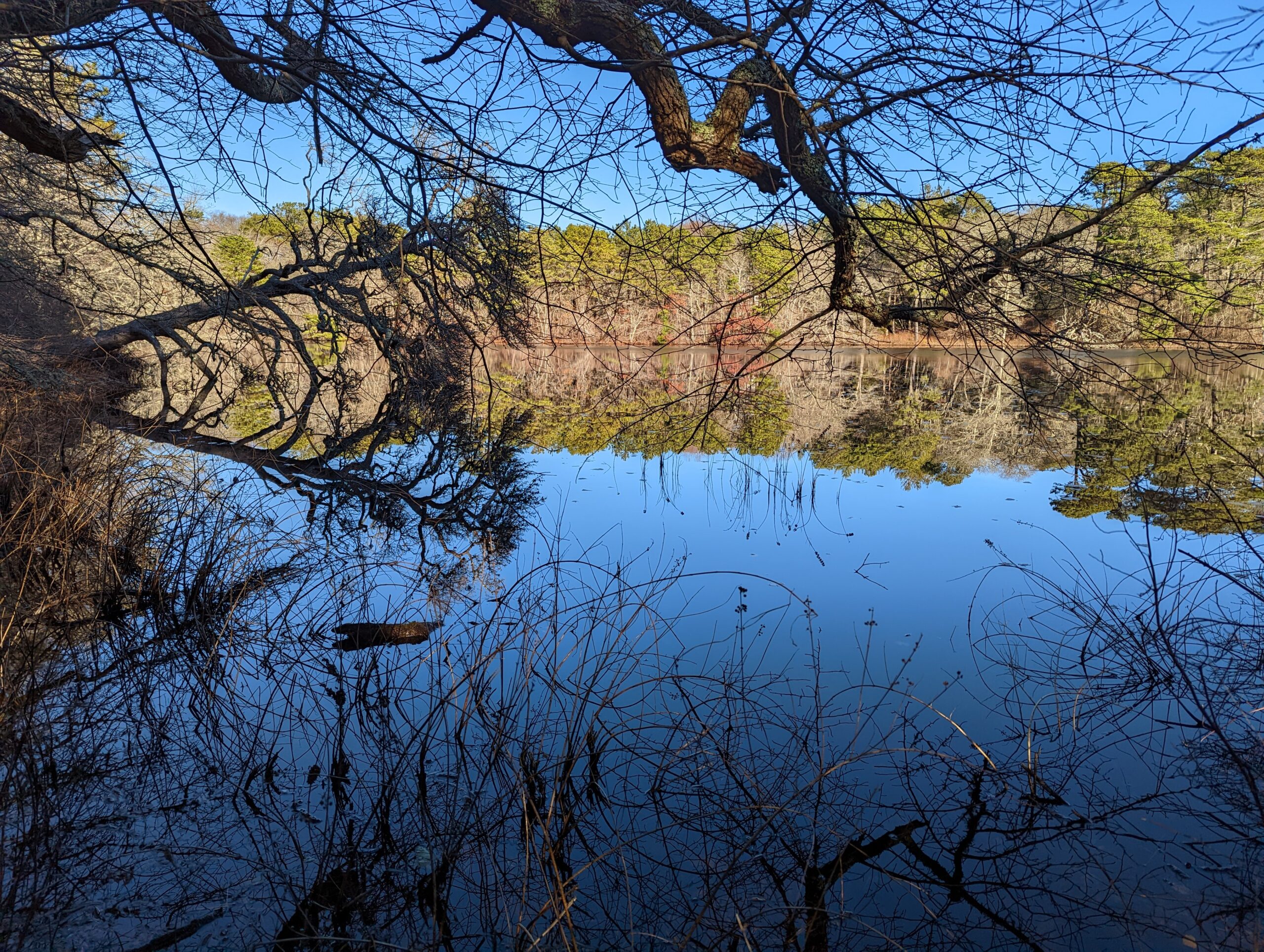 View across Lower Pond, Martha's Vineyard