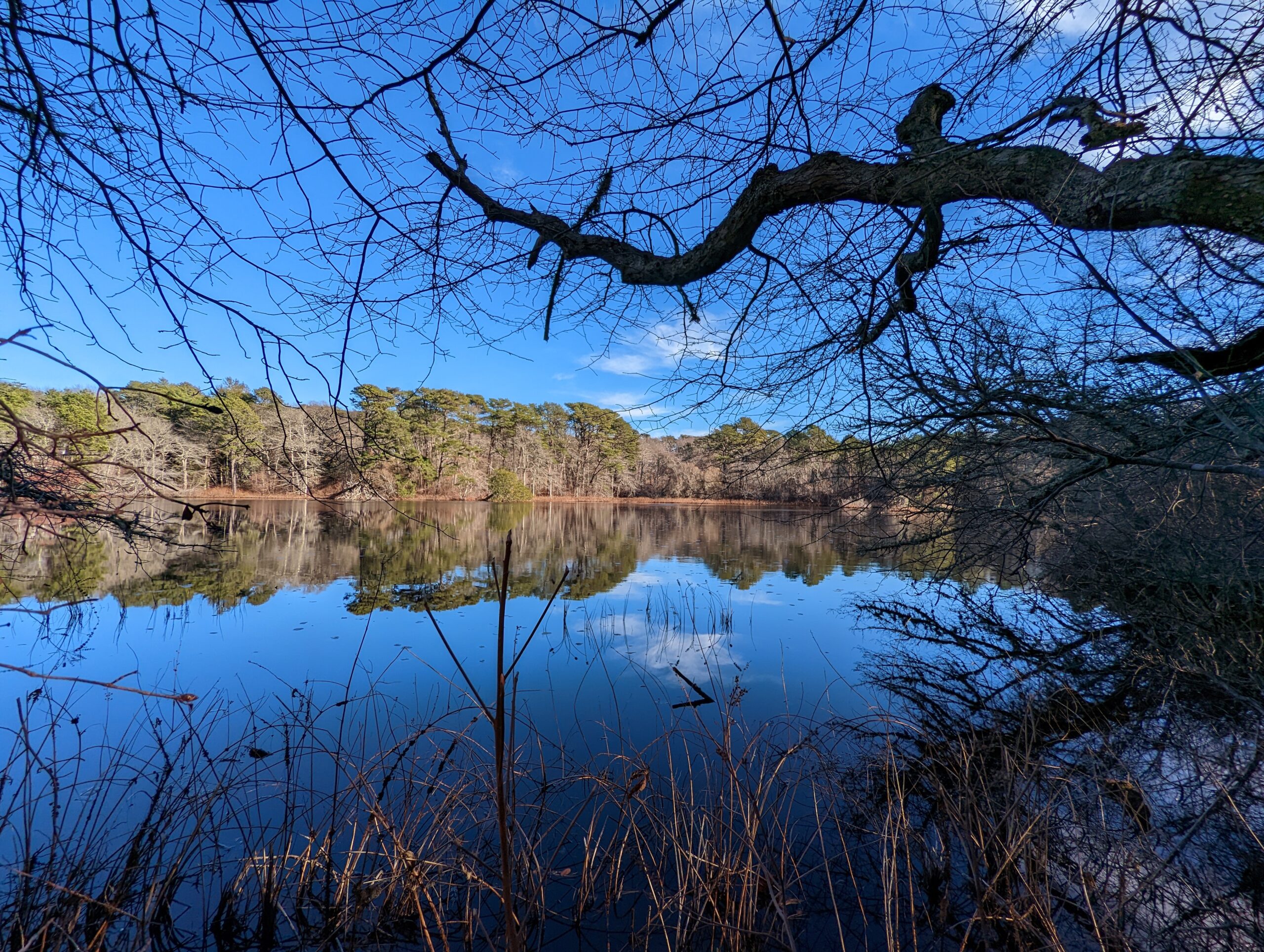 View across Lower Pond in Vineyard Haven