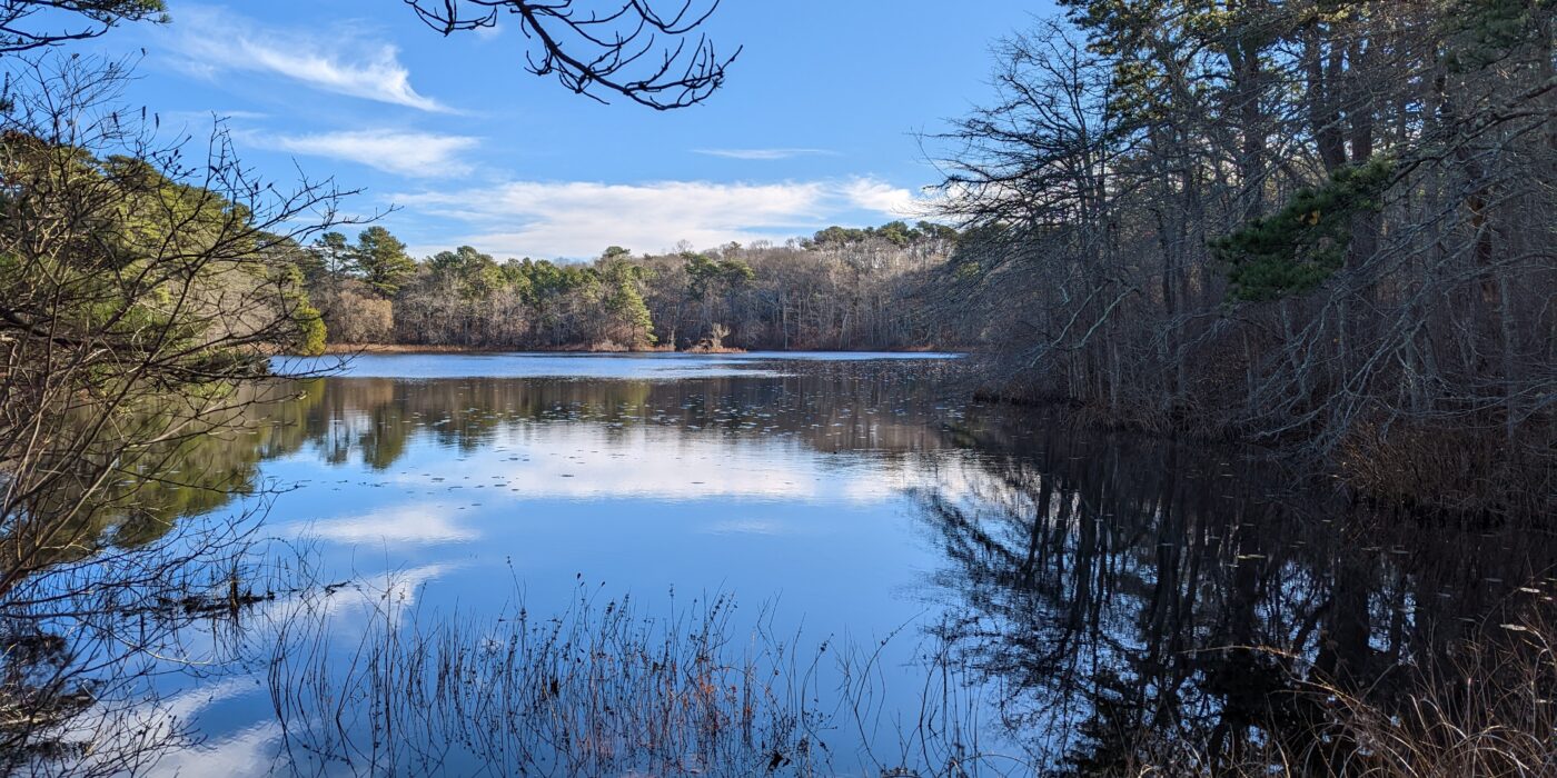 View of pond