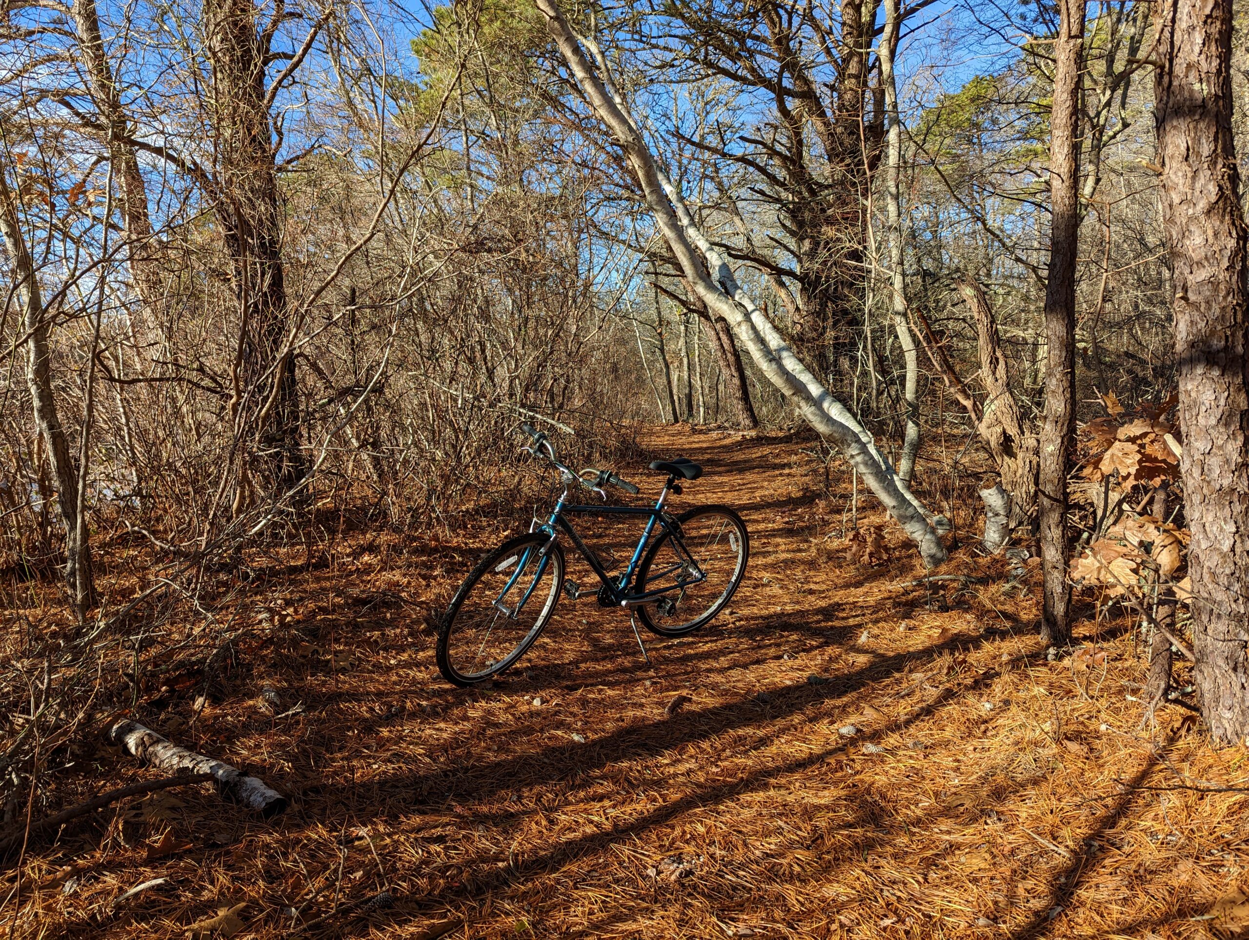 Bike on hiking path on Martha's Vineyard