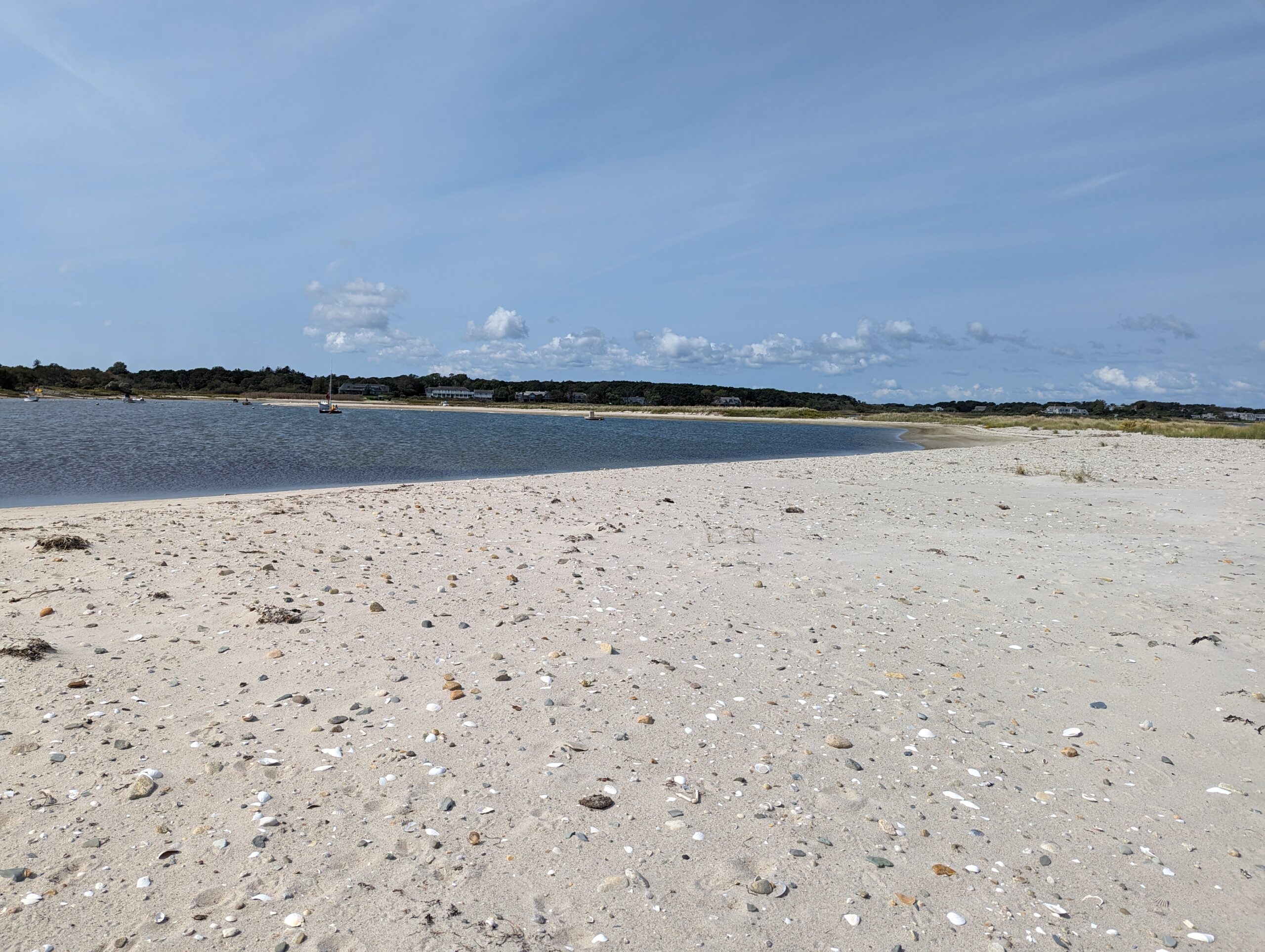 View of Eel Pond in Edgartown