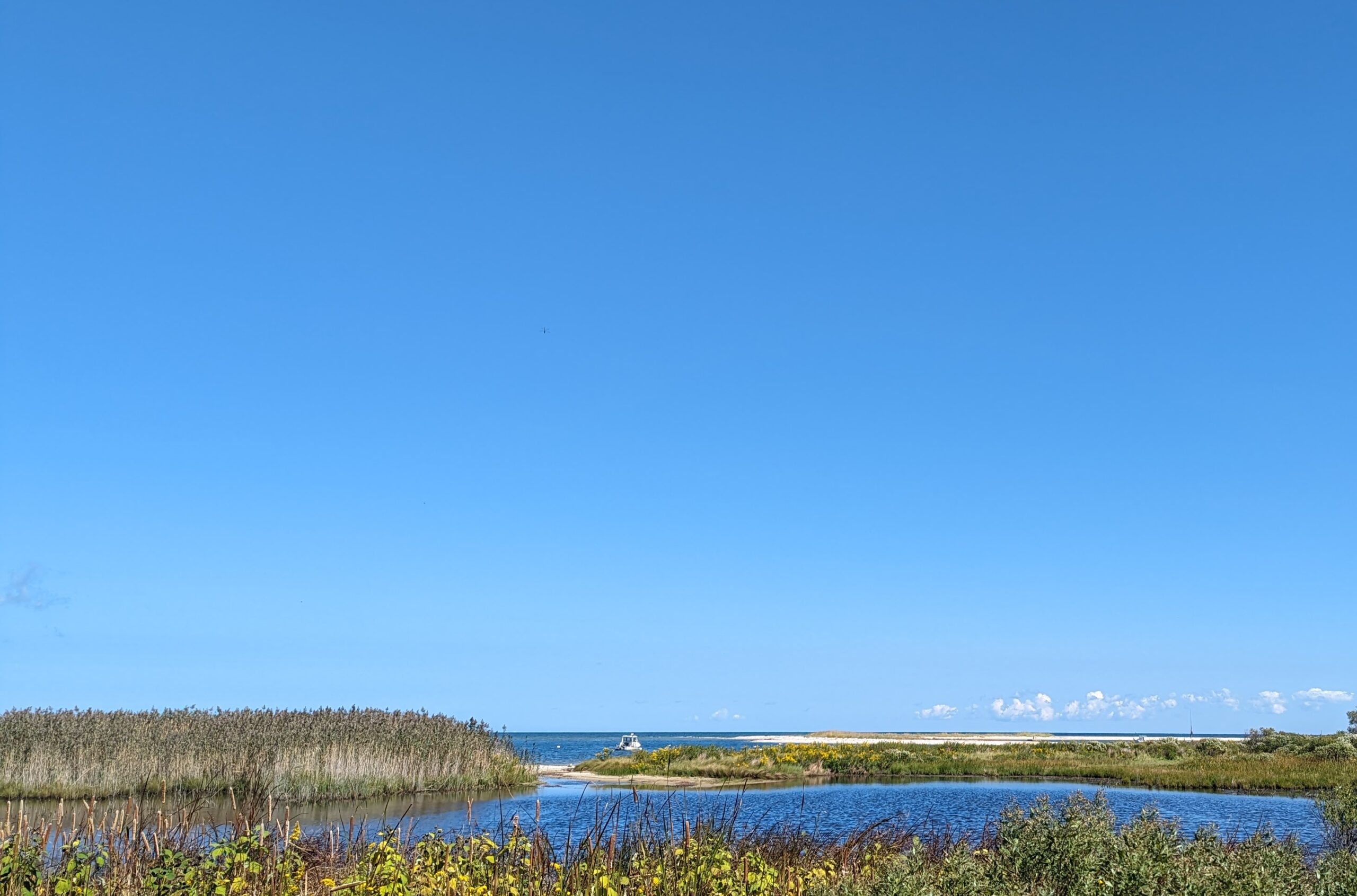 View of Eel Pond and Little Beach behind it