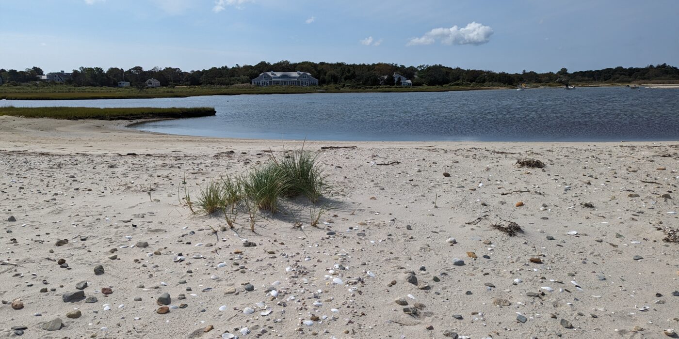 View of Little Beach and water behind in Edgartown