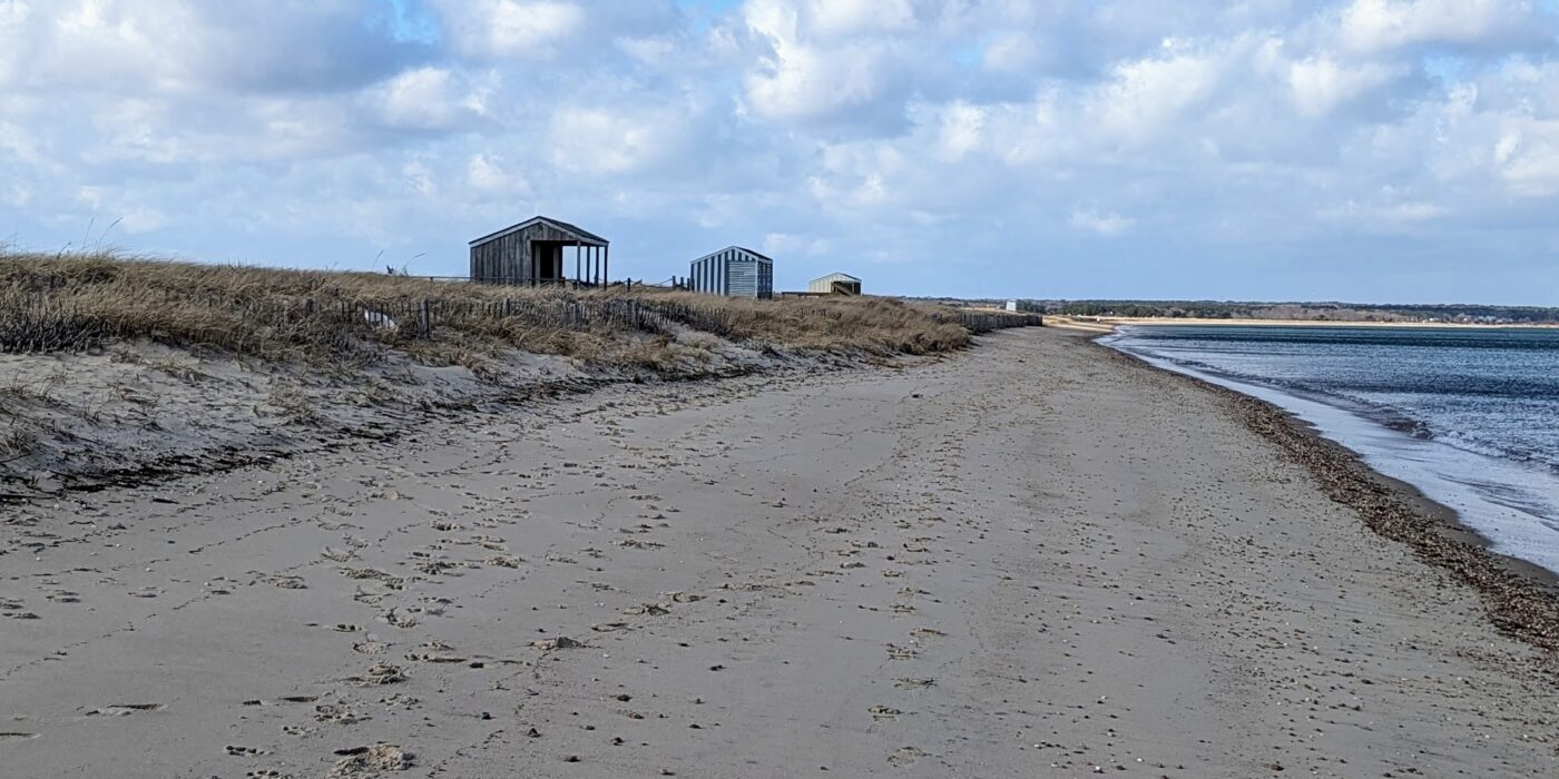 View of Cow Beach in Edgartown